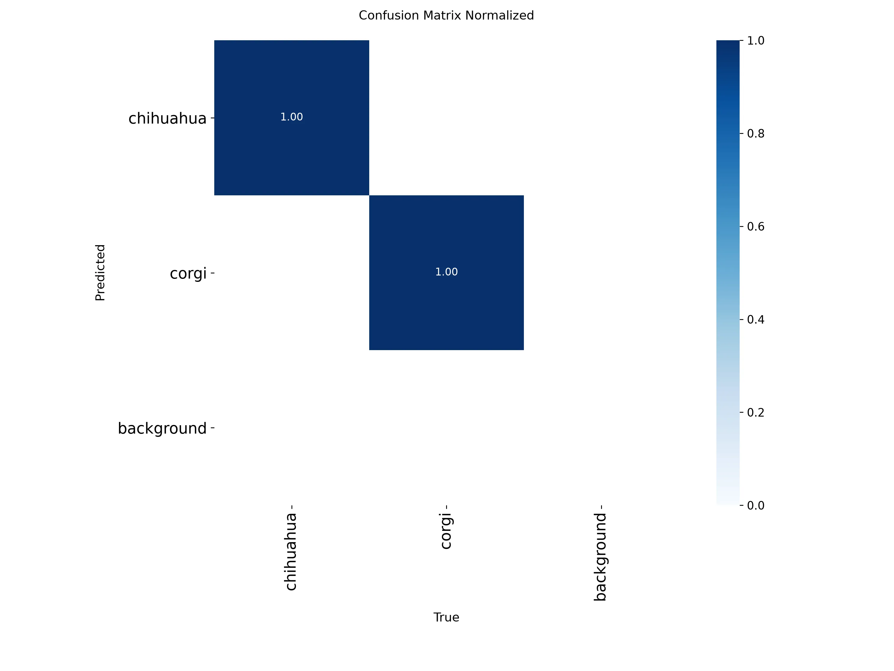 confusion matrix