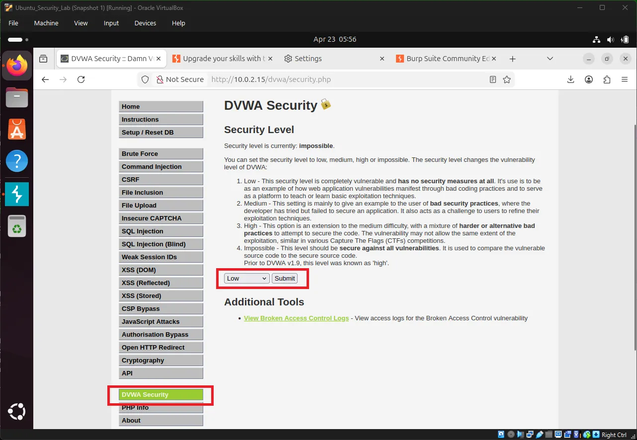 DVWA Security Level Low