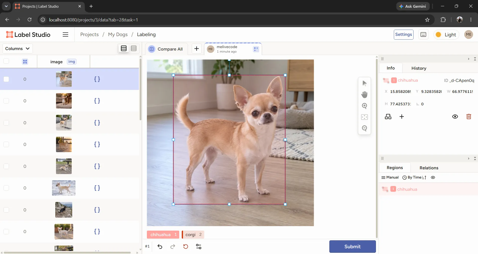 ตัวอย่างตีกรอบ chihuahua