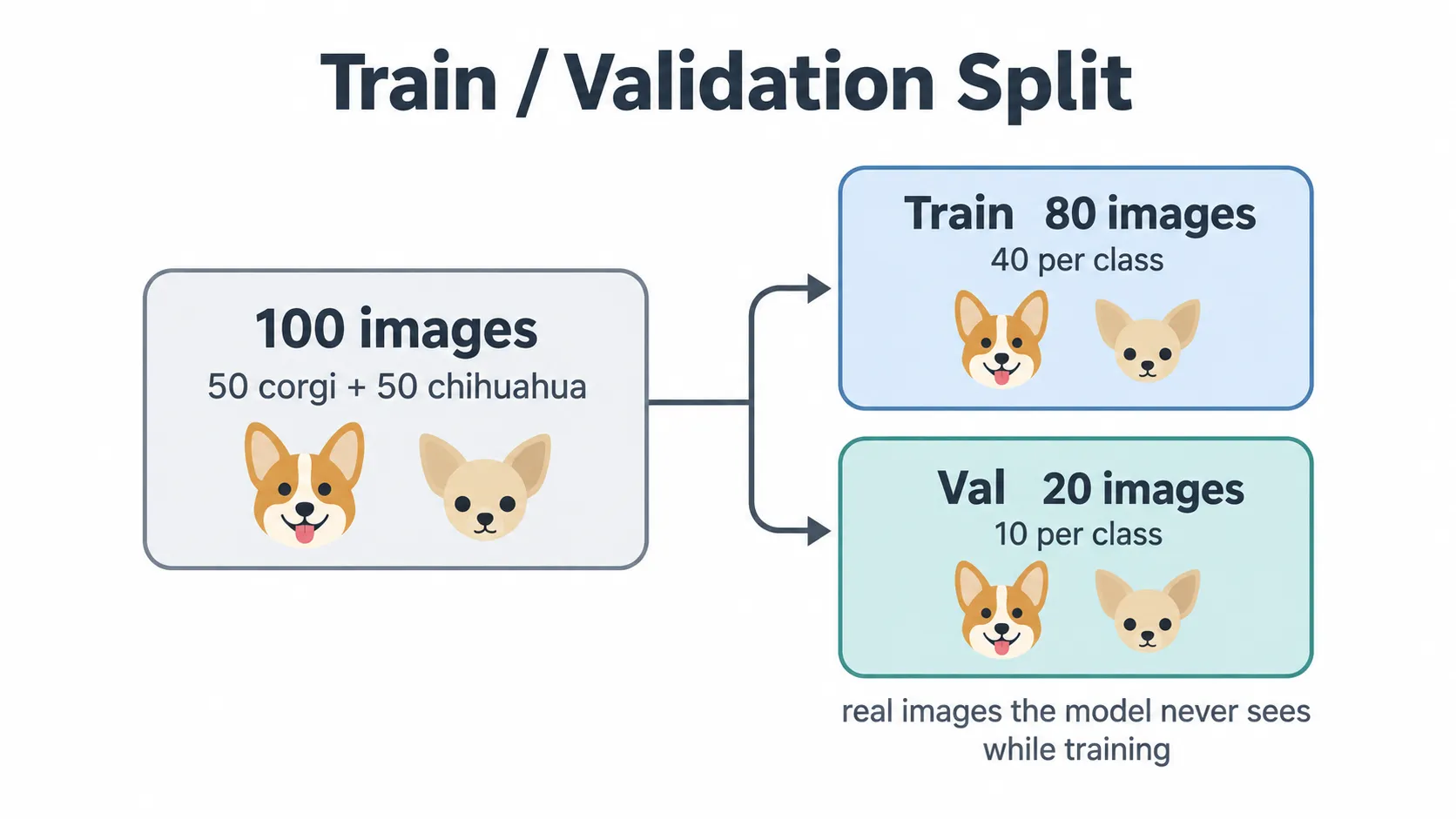 Train / validation split แบ่ง 100 ภาพเป็น train 80 และ val 20